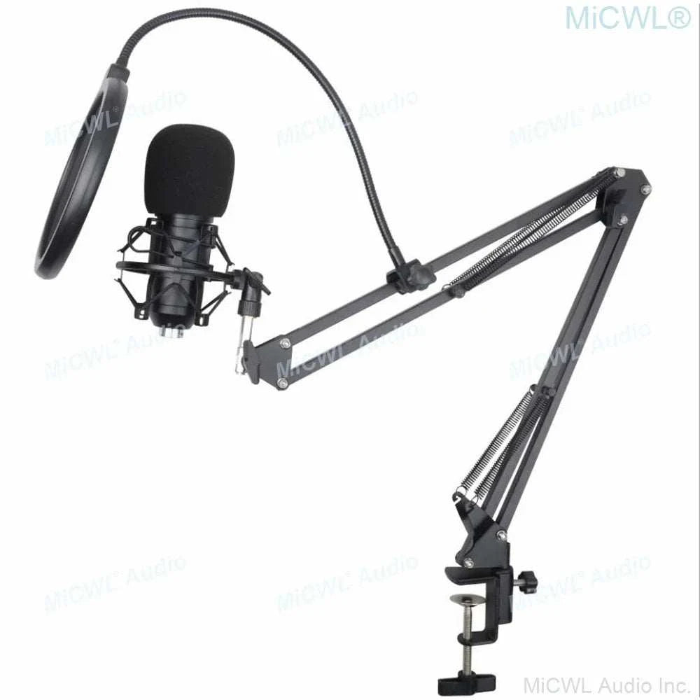 Pro Studio Condenser Recording Audio Microphone Microfone for Laptop Computer PC Sound Card Liver Sing Shock Mount Foam Cable