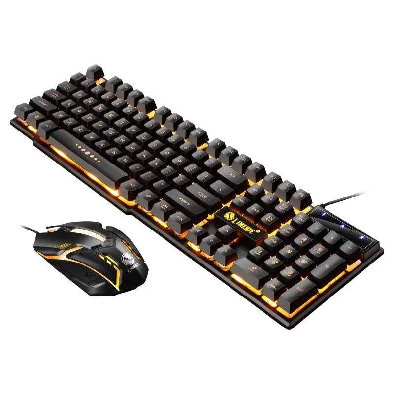 KEYBOARDS AND COMPUTER MOUSE