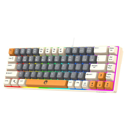 68-Key Mini Mechanical Usb Wired Gaming Keyboard, RGB Backlit Multi-Color, for Windows PC/Desktop/Laptops