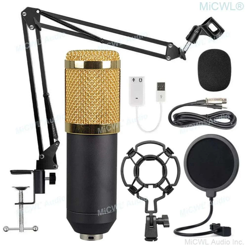 Pro Studio Condenser Recording Audio Microphone Microfone for Laptop Computer PC Sound Card Liver Sing Shock Mount Foam Cable