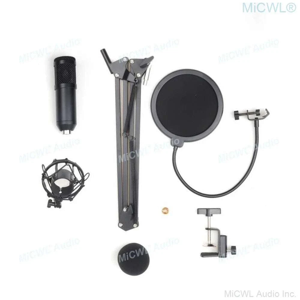 Pro Studio Condenser Recording Audio Microphone Microfone for Laptop Computer PC Sound Card Liver Sing Shock Mount Foam Cable