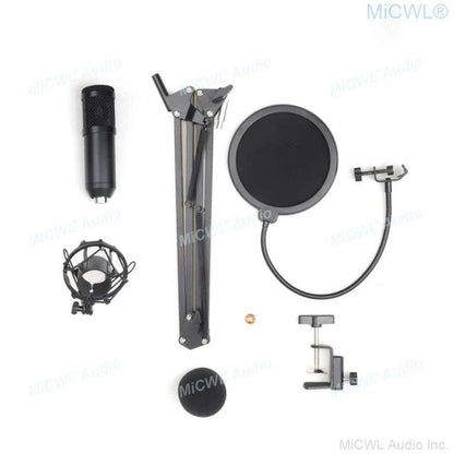 Pro Studio Condenser Recording Audio Microphone Microfone for Laptop Computer PC Sound Card Liver Sing Shock Mount Foam Cable